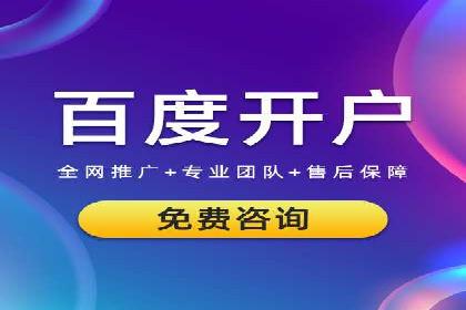 提升关键词竞价排名转化率：经典案例解析